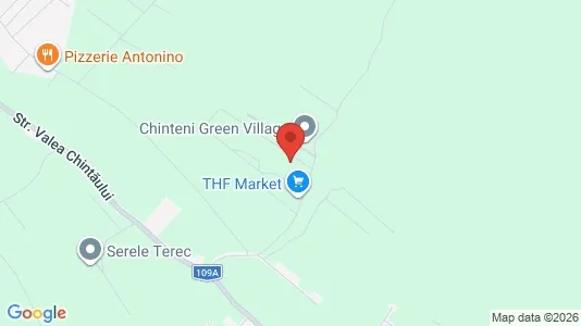 Apartments for rent in Chinteni - Photo from Google Street View