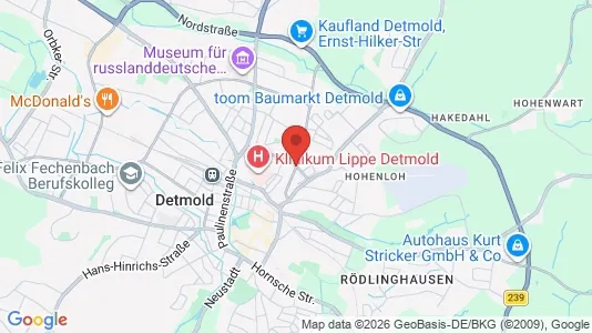Apartments for rent in Lippe - Photo from Google Street View