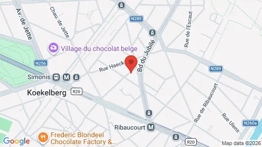 Apartments for rent i Brussels Sint-Jans-Molenbeek - kort over placeringen
