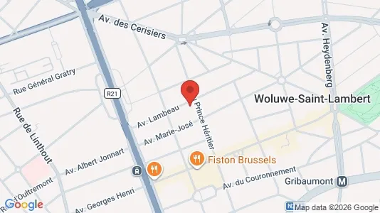 Apartments for rent i Brussels Sint-Lambrechts-Woluwe - kort over placeringen