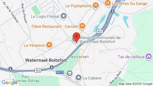 Apartments for rent in Brussels Watermaal-Bosvoorde - Photo from Google Street View