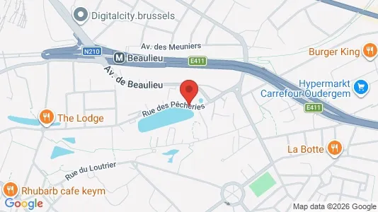 Apartments for rent in Brussels Oudergem - Photo from Google Street View