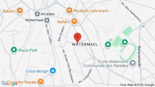 Apartments for rent in Brussels Watermaal-Bosvoorde - Photo from Google Street View