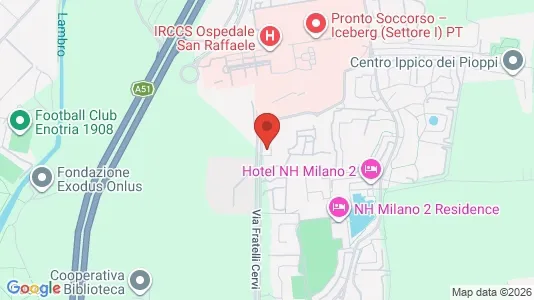 Rooms for rent in Segrate - Photo from Google Street View