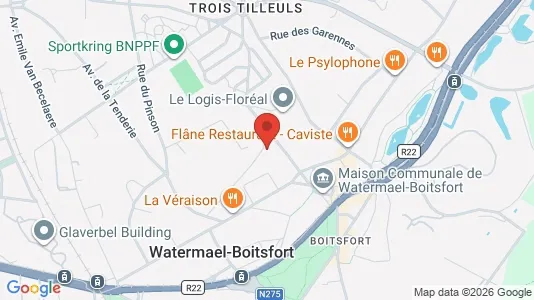 Apartments for rent in Brussels Watermaal-Bosvoorde - Photo from Google Street View