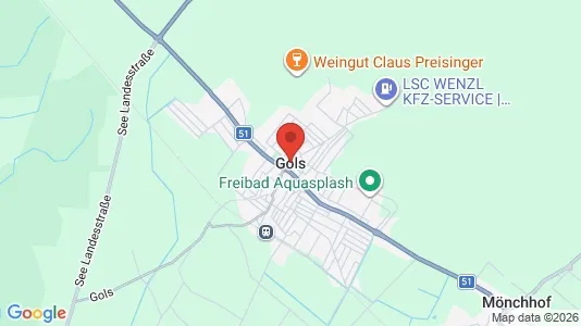 Apartments for rent i Gols - kort over placeringen