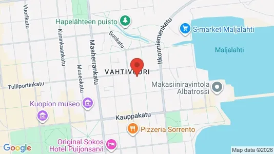 Apartments for rent i Kuopio - kort over placeringen