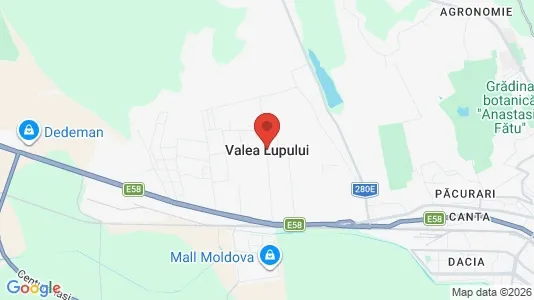 Apartments for rent in Valea Lupului - Photo from Google Street View