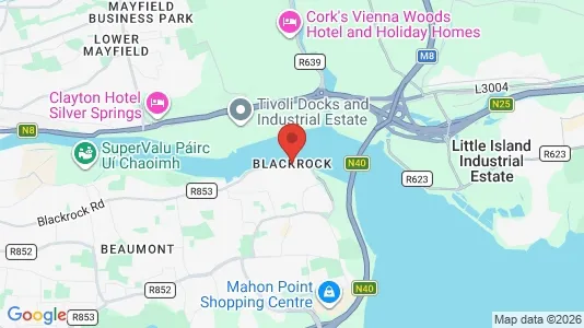 Houses for rent i Blackrock - kort over placeringen
