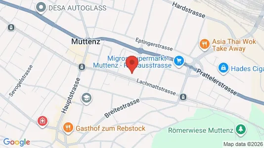 Apartments for rent i Arlesheim - kort over placeringen