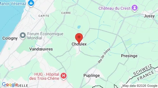 Apartments for rent in Choulex - Photo from Google Street View