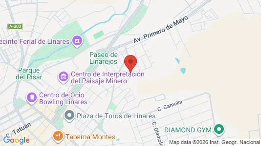 Apartments for rent i Linares - kort over placeringen