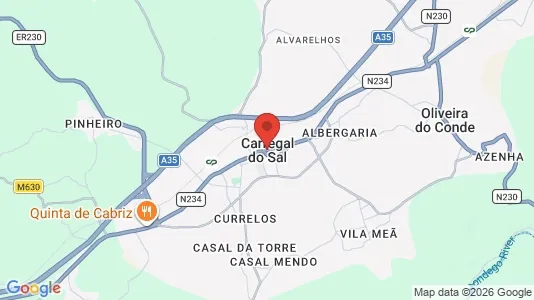 Apartments for rent i Carregal do Sal - kort over placeringen