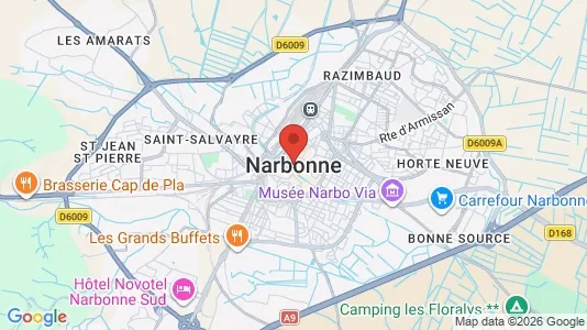 Houses for rent i Narbonne - kort over placeringen