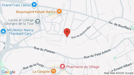 Apartments for rent i Nancy - kort over placeringen