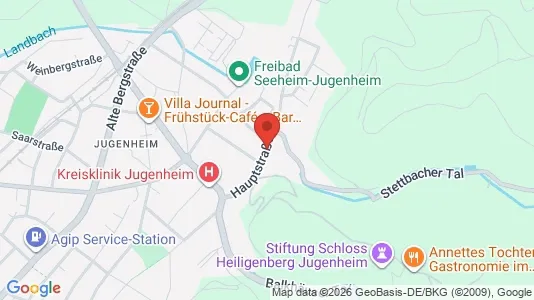 Apartments for rent i Darmstadt-Dieburg - kort over placeringen
