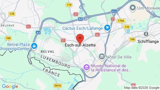 Houses for rent i Esch-sur-Alzette - kort over placeringen