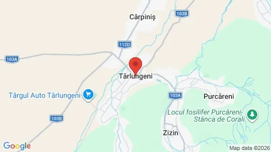 Apartments for rent i Tărlungeni - kort over placeringen