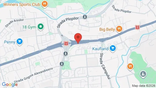 Apartments for rent i Cluj-Napoca - kort over placeringen