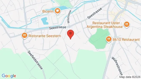 Apartments for rent i Uster - kort over placeringen