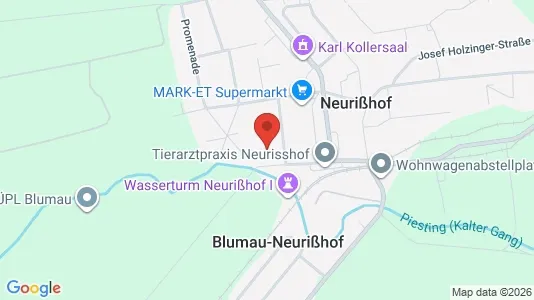 Apartments for rent i Blumau-Neurißhof - kort over placeringen