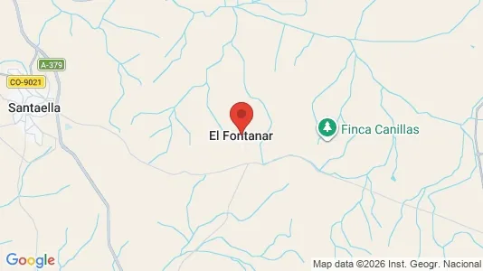 Houses for rent i El Fontanal - kort over placeringen