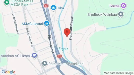 Apartments for rent i Liestal - kort over placeringen