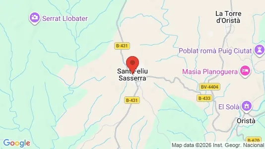 Houses for rent i Sant Feliu Sasserra - kort over placeringen