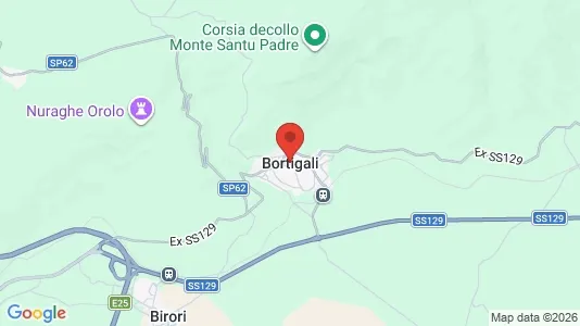 Apartments for rent i Bortigali - kort over placeringen