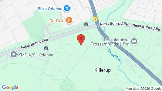 Apartments for rent i Odense M - kort over placeringen