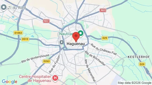 Apartments for rent i Haguenau-Wissembourg - kort over placeringen