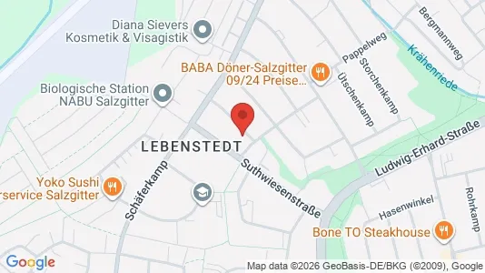 Apartments for rent i Salzgitter - kort over placeringen