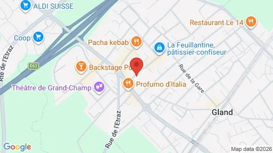 Apartments for rent i Nyon - kort over placeringen