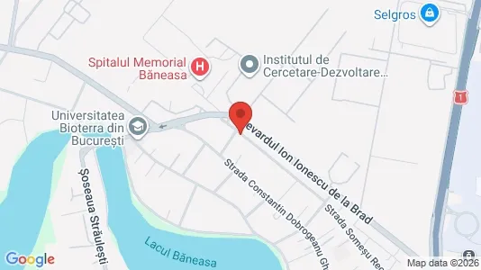 Apartments for rent i Voluntari - kort over placeringen