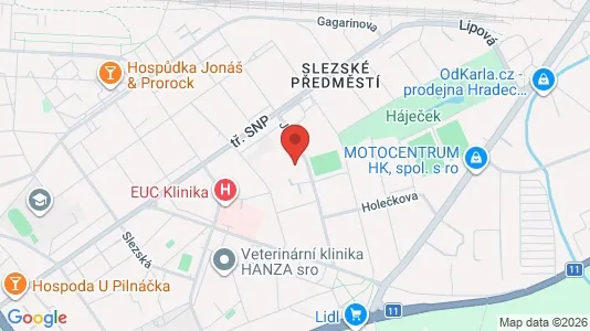 Apartments for rent i Hradec Králové - kort over placeringen
