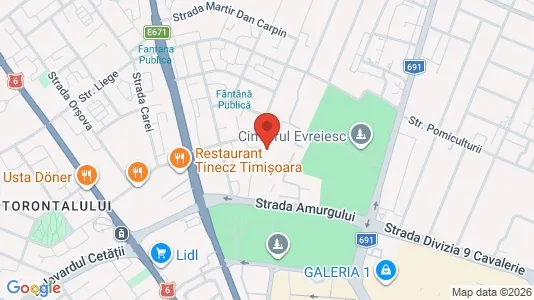 Apartments for rent i Timişoara - kort over placeringen