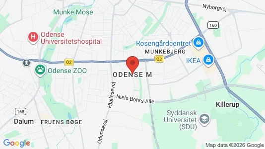Apartments for rent i Odense M - kort over placeringen