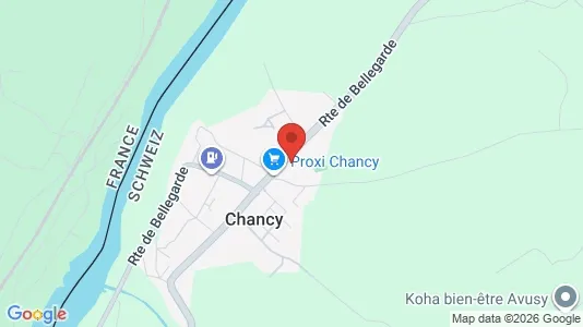 Apartments for rent i Chancy - kort over placeringen