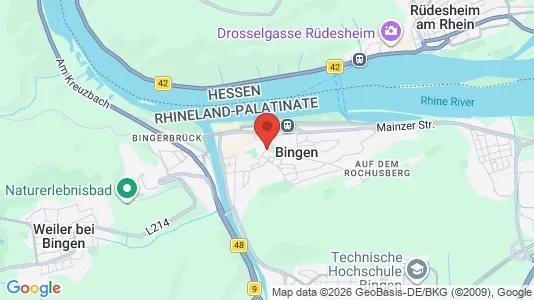 Apartments for rent i Mainz-Bingen - kort over placeringen