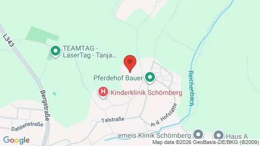 Apartments for rent i Calw - kort over placeringen