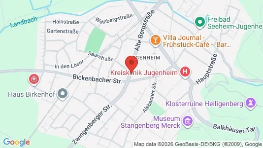 Apartments for rent i Darmstadt-Dieburg - kort over placeringen