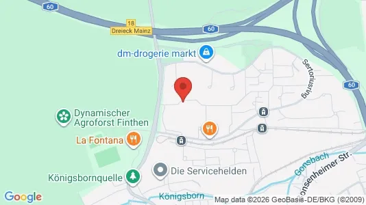 Apartments for rent i Mainz - kort over placeringen