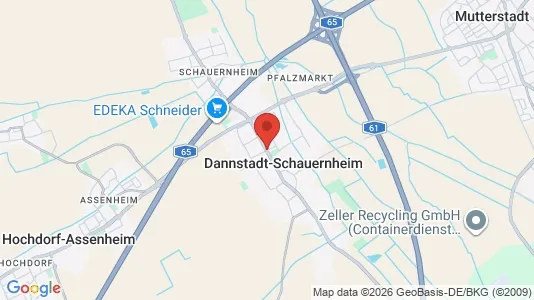 Apartments for rent i Rhein-Pfalz-Kreis - kort over placeringen
