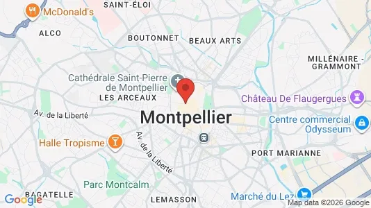 Apartments for rent i Montpellier - kort over placeringen