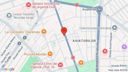Apartments for rent i Bucharest - Sectorul 1 - kort over placeringen