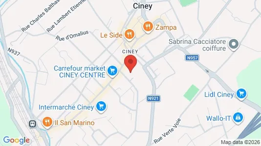 Apartments for rent i Ciney - kort over placeringen