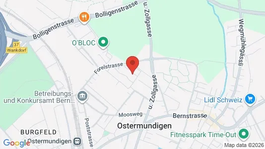 Apartments for rent i Bern-Mittelland - kort over placeringen