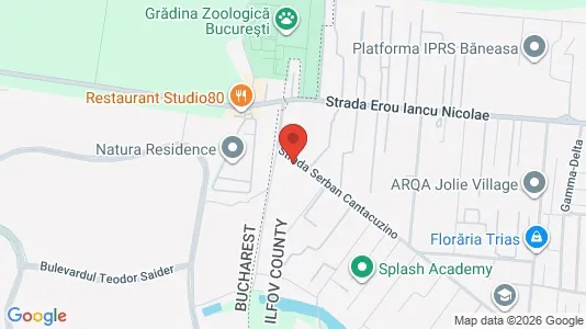 Apartments for rent i Voluntari - kort over placeringen