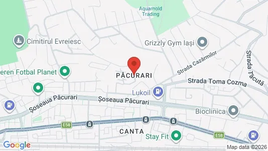 Apartments for rent i Iaşi - kort over placeringen