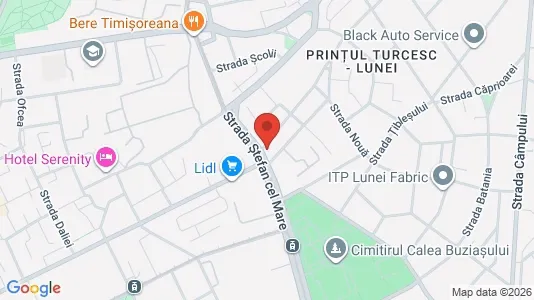 Apartments for rent i Timişoara - kort over placeringen
